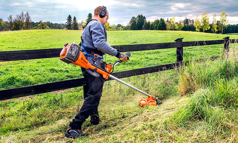 How to choose a gas trimmer, which type of device is better and more reliable in operation