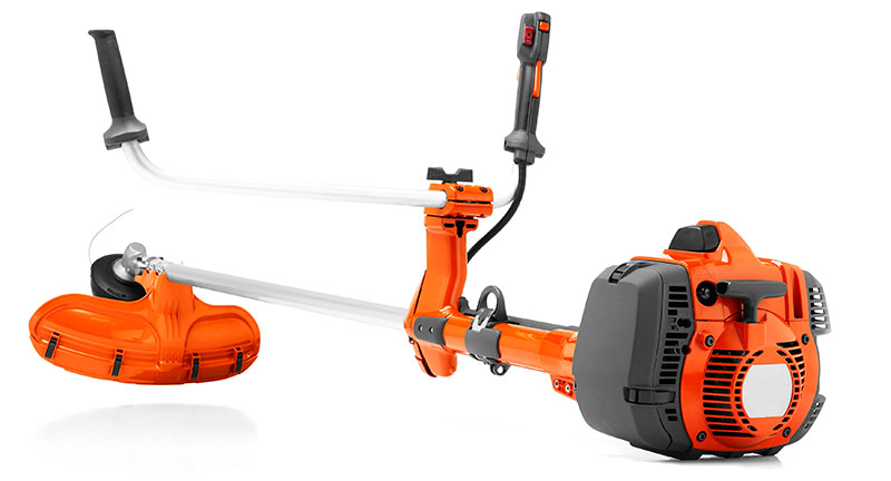 Professioneller Gastrimmer