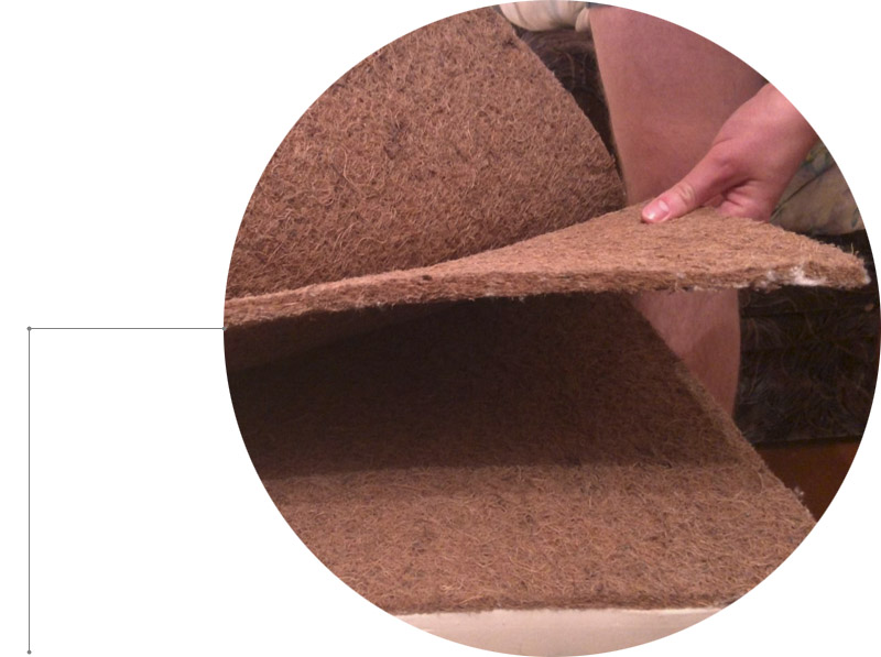 Кокосова кокоса