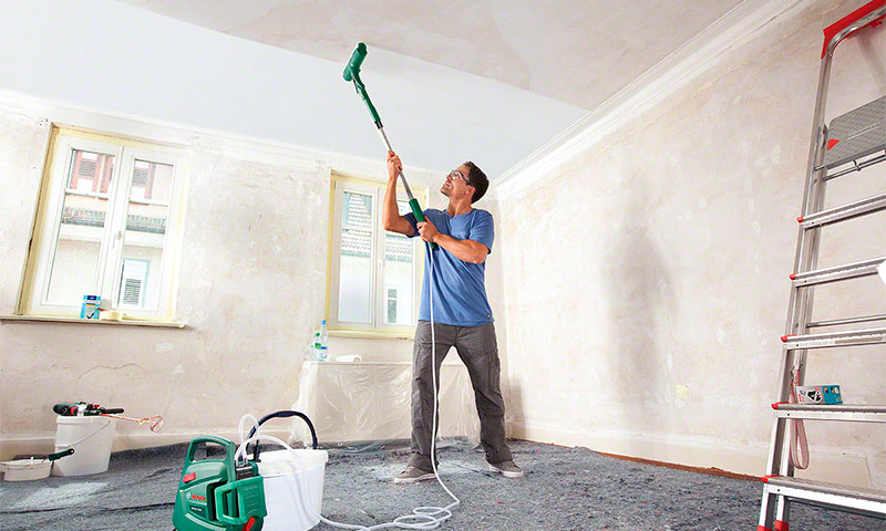 Which ceiling paint is better