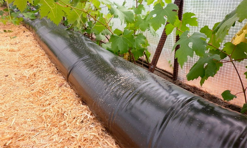 Heat storage battery heat sink for a greenhouse - reviews on its use