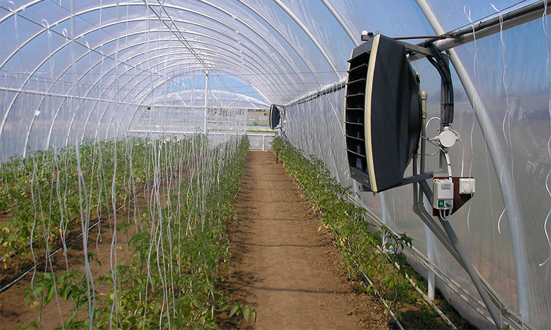 Greenhouse heating with an infrared heater - reviews and advisability