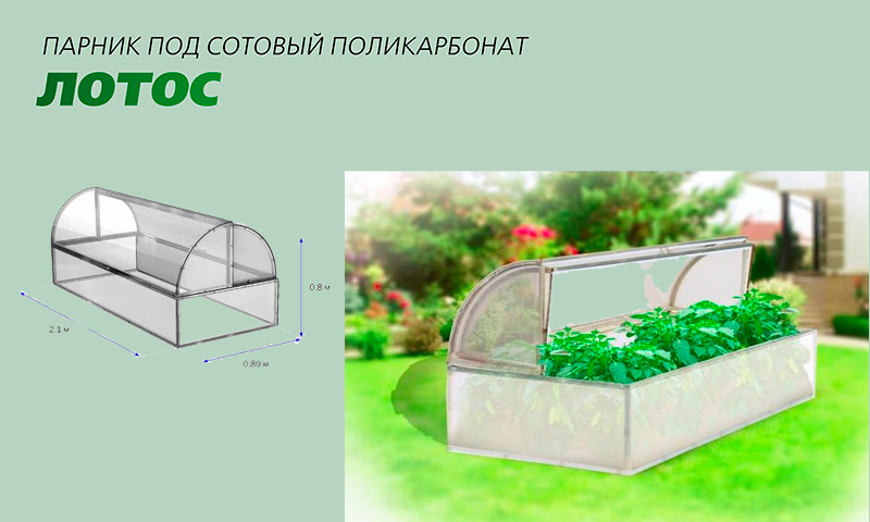 Hotbed Lotus - reviews of vegetable growers and gardeners