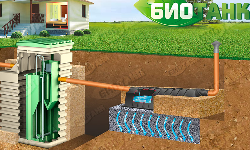 Septic Biotank - owner reviews and recommendations