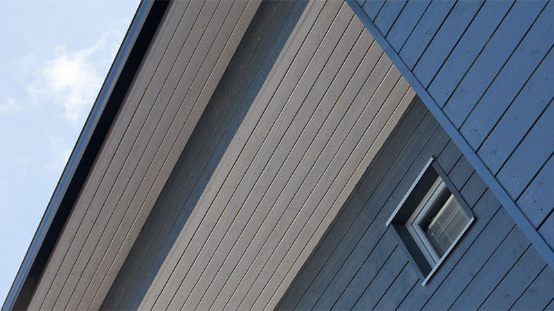 Casă pictată în acril