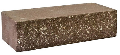 G-terrakotovui เมตร