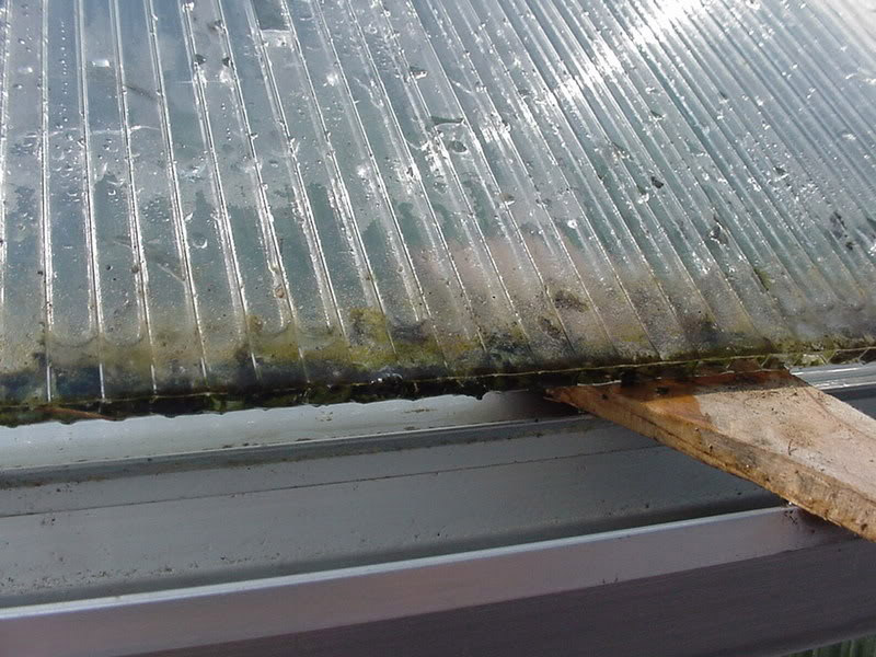 Floración de policarbonato celular