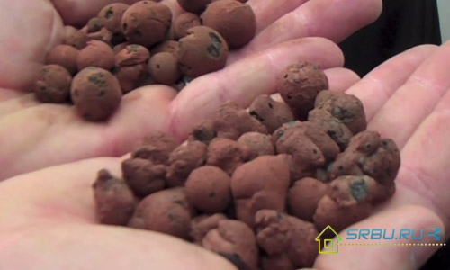 หินดินเหนียวขยายตัว