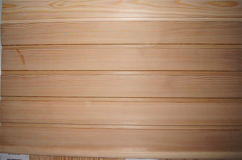 Κωνοφόρα επένδυση