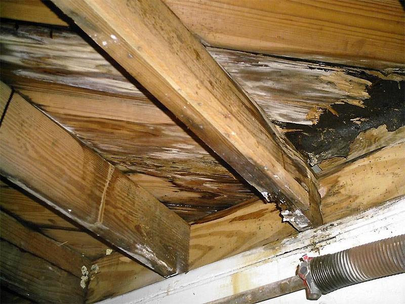 علامات ترطيب السقف