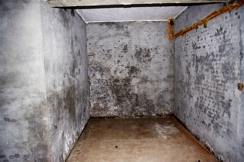 الطابق السفلي الخام