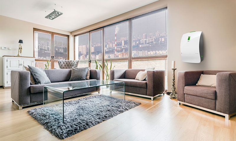 The best breathers for an apartment or a house
