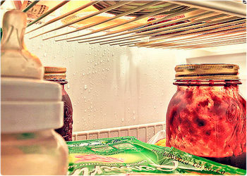 Влажен стенен хладилник