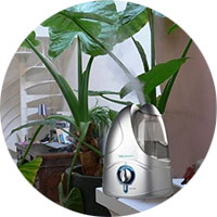 за растении